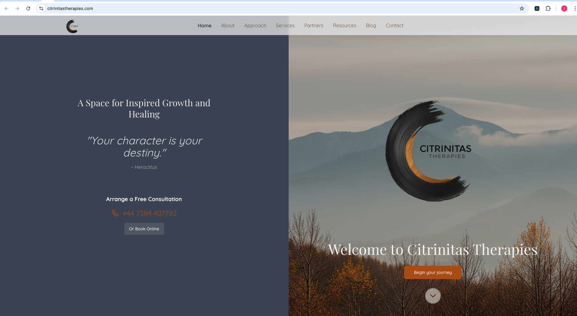 Citrinitas Therapies services cards